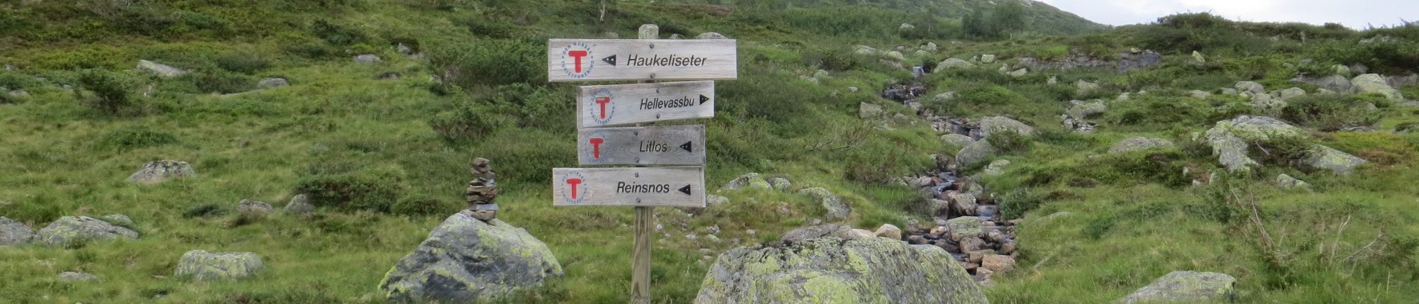 In der Hardangervidda